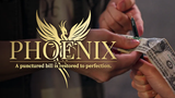 Phoenix | Higar and Hanson Chien (RMB China)
