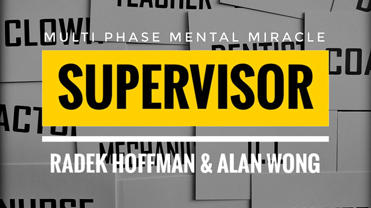Supervisor | Radek Hoffman