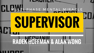 Supervisor | Radek Hoffman