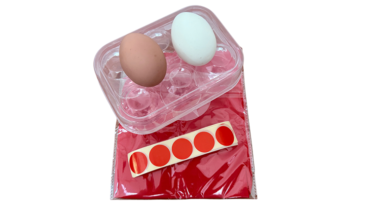 Silk to Egg | Michael Ammar and Bazar de Magia