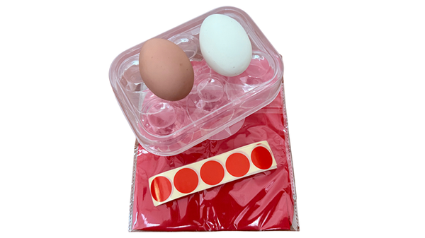 Silk to Egg | Michael Ammar and Bazar de Magia