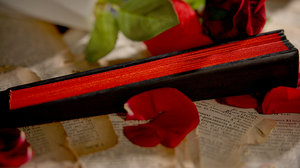 The Butterfly | K.Pen & TCC Magic