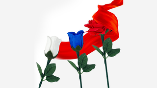 Reborn Rose | JL Magic