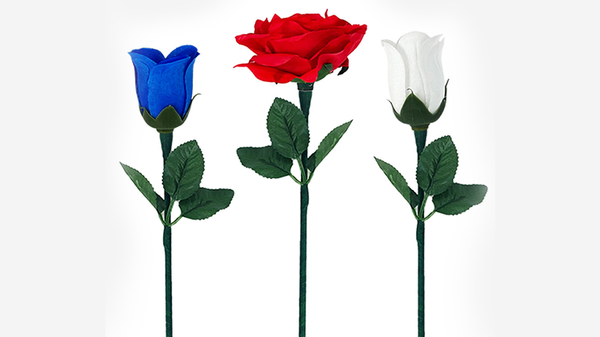 Reborn Rose | JL Magic