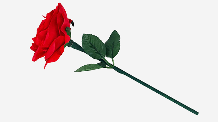Reborn Rose | JL Magic