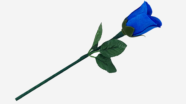 Reborn Rose | JL Magic