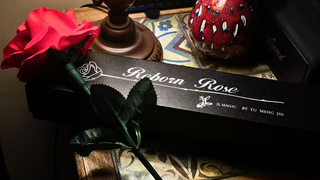 Reborn Rose | JL Magic