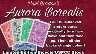 Aurora Borealis | Paul Gordon