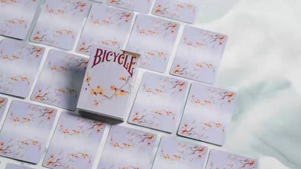 Bicycle Seasons (Winter Edition) Playing Cards