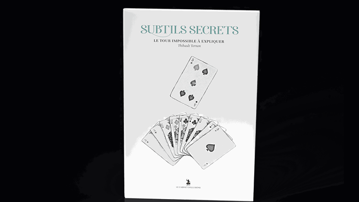Subtle Secrets 2 | Thibault Ternon