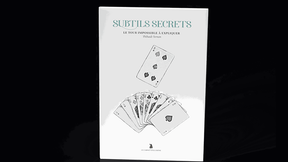 Subtle Secrets 2 | Thibault Ternon