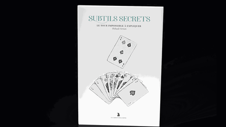 Subtle Secrets 2 | Thibault Ternon