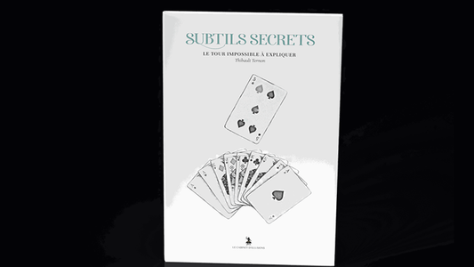 Subtle Secrets 2 | Thibault Ternon
