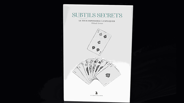 Subtle Secrets 2 | Thibault Ternon