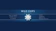 Wild Chips | Joel Anthony