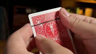 LINER | Bond Lee, Alexander Stefanus & MS Magic (Red)