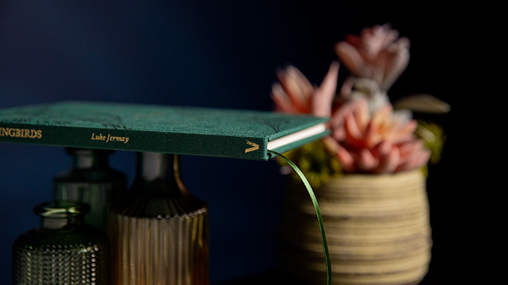 The Hummingbirds | Luke Jermay