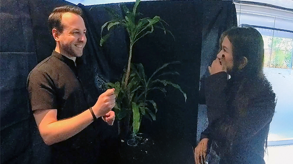 Echo Book Test | Vincent Hedan (Hypnosis)