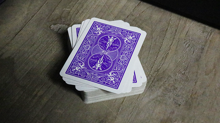 Mini Bicycle Cards (Purple)