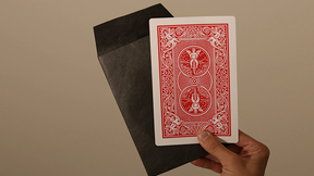 Number 4 Envelope Stage | Blake Vogt