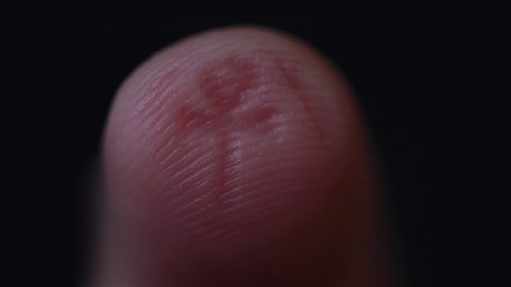 The Artefact | Matthew Wright