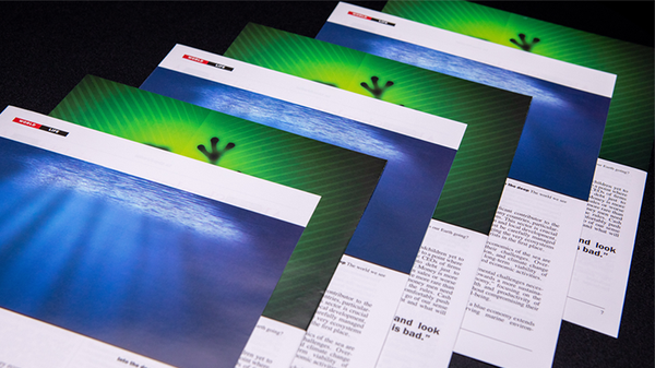 Don't Blink | Yvan Garmy