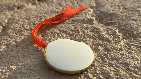 Bronze Enigma | Jackie Zhao and JT Magic