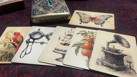 The Papilio Experiment | Dead Rebel