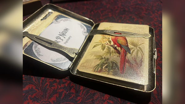 The Papilio Experiment | Dead Rebel