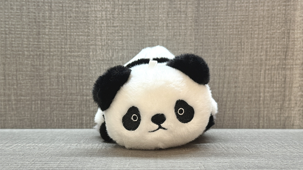 Morphing Plush (Panda to Raccoon) | Jackie Zhao and JT Magic