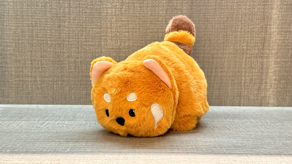 Morphing Plush (Panda to Raccoon) | Jackie Zhao and JT Magic