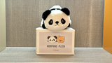 Morphing Plush (Panda to Raccoon) | Jackie Zhao and JT Magic