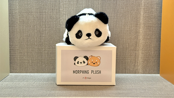 Morphing Plush (Panda to Raccoon) | Jackie Zhao and JT Magic