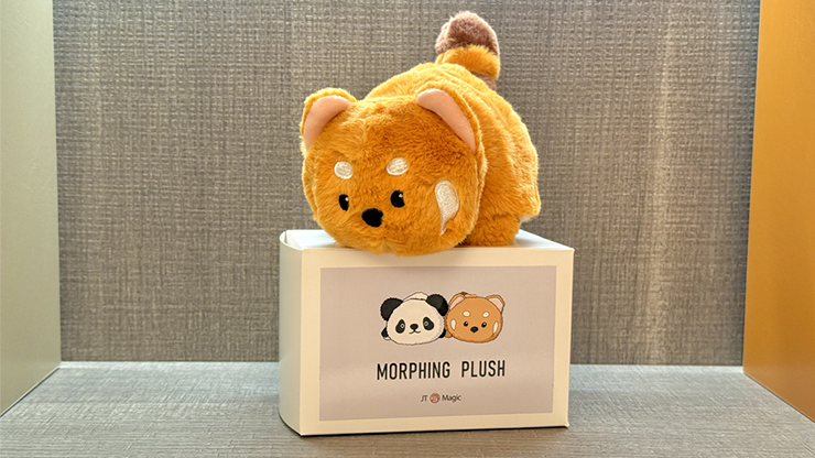 Morphing Plush (Panda to Raccoon) | Jackie Zhao and JT Magic