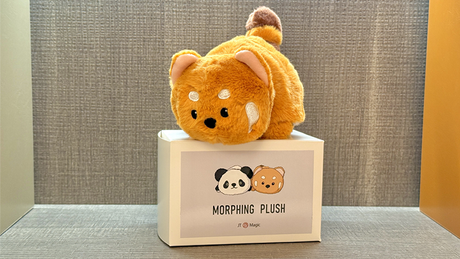 Morphing Plush (Panda to Raccoon) | Jackie Zhao and JT Magic