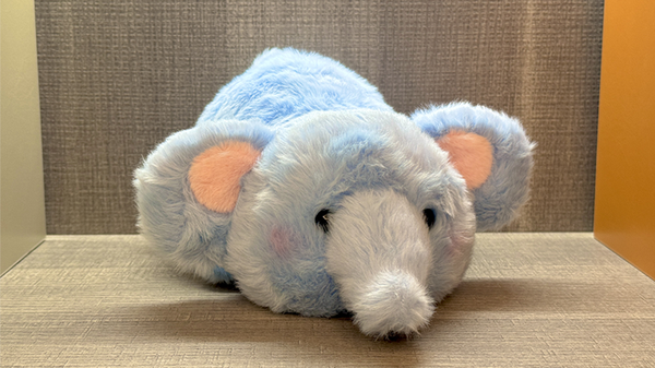 Morphing Plush (Elephant to Rabbit Large) | Jackie Zhao and JT Magic