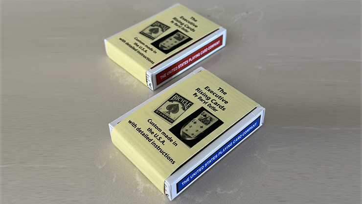 Executive Rising Cards (Blue)