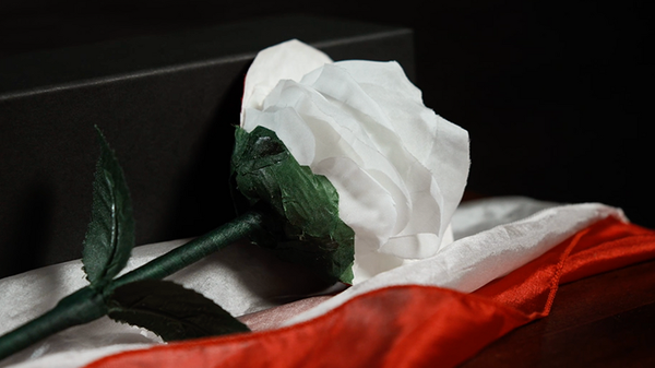 Fantasy Rose | Leon, Bond Lee & MS Magic