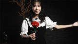 Fantasy Rose | Leon, Bond Lee & MS Magic