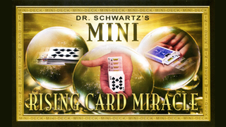 Mini Card Rise Miracle | Martin Schwartz
