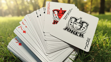 Disobedience Playing Cards | WohStudios