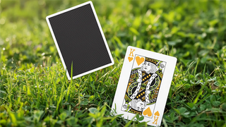 North Wind Beacon Playing Cards | WohStudios