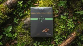North Wind Beacon Playing Cards | WohStudios