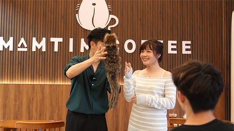 Tricky Raccoon | Liang Kuai & Amor Magic