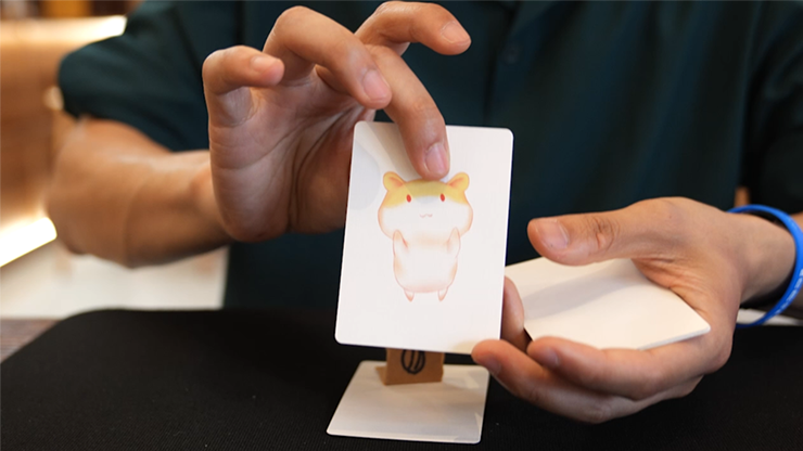 Hungry Hamster | Liang Kuai & Amor Magic