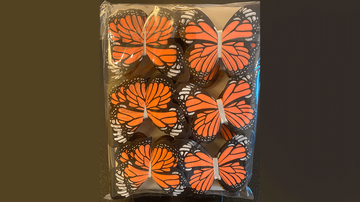 Butterfly X Refills | Alan Wong