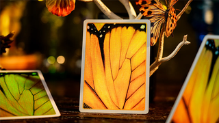 Amber Golden Morpho Playing Cards | TCC Fashion