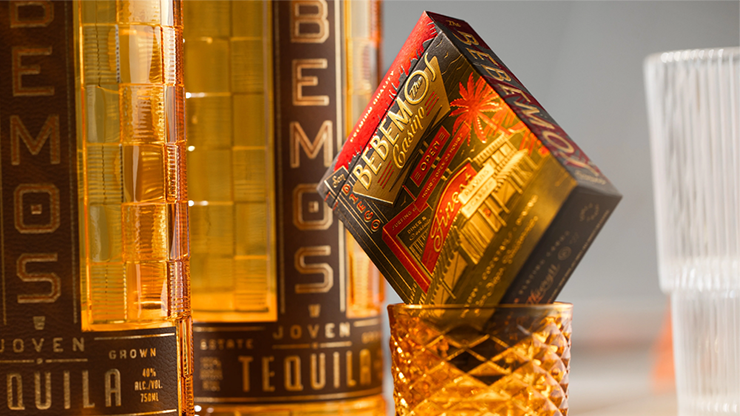 Bebemos Casino Playing Cards | theory11