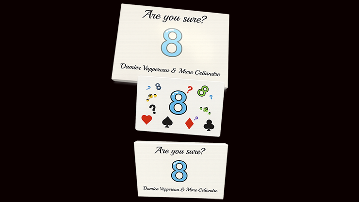 Are You Sure? | Damien Vappereau and Marc Céliandre