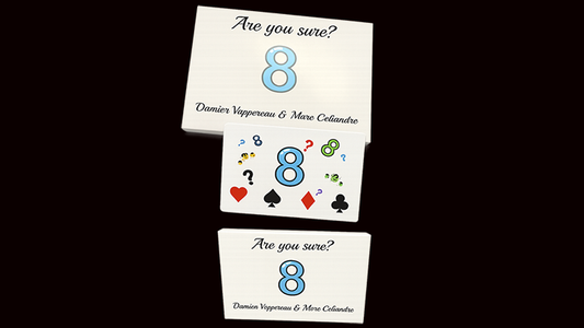Are You Sure? | Damien Vappereau and Marc Céliandre